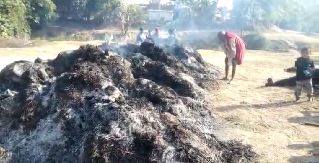 धान के बोझा में लगी अचानक आग 500 बोझा जलकर हुआ राख, किसान ने मुआवजा की मांग की